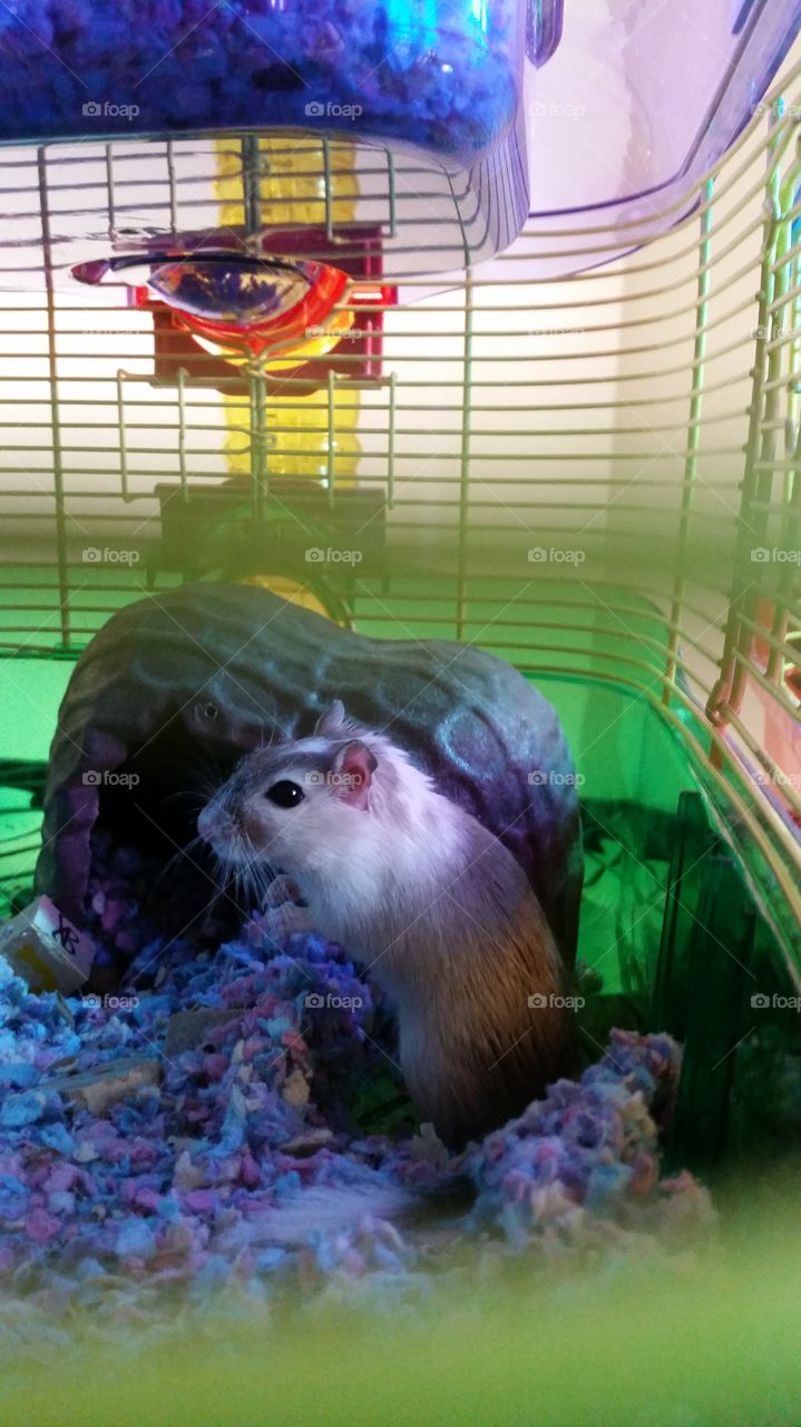 Stuart’s first day at home 