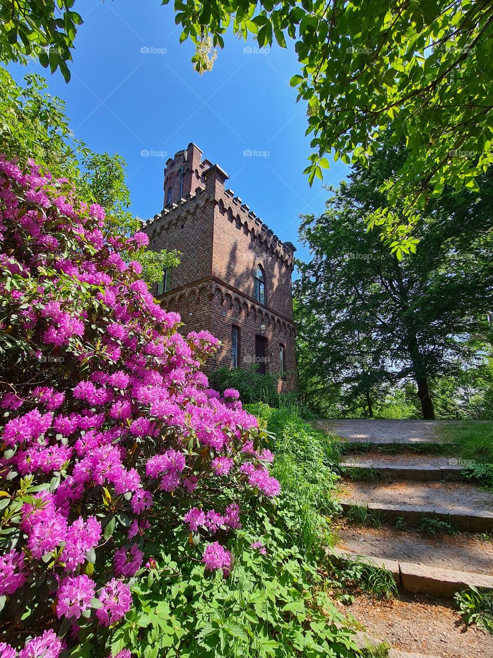 Old tower and Rhododendron