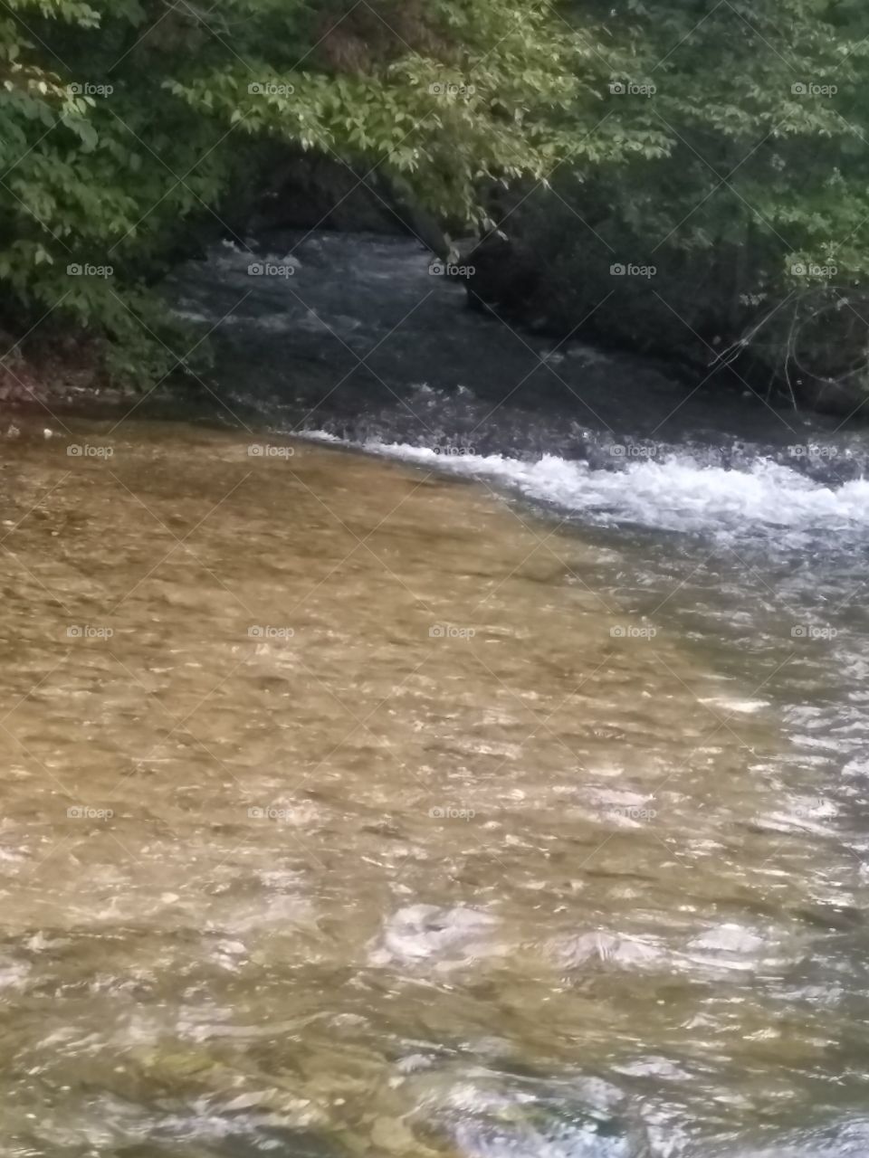 Flowing creek