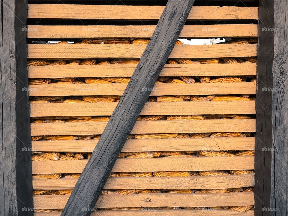 Store corn. Place where corn is stored