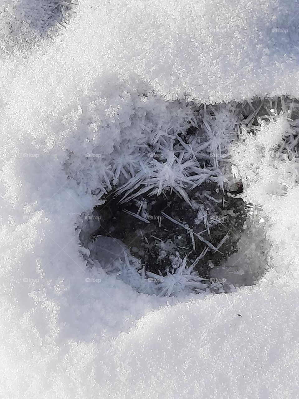 fresh snow on sunny day