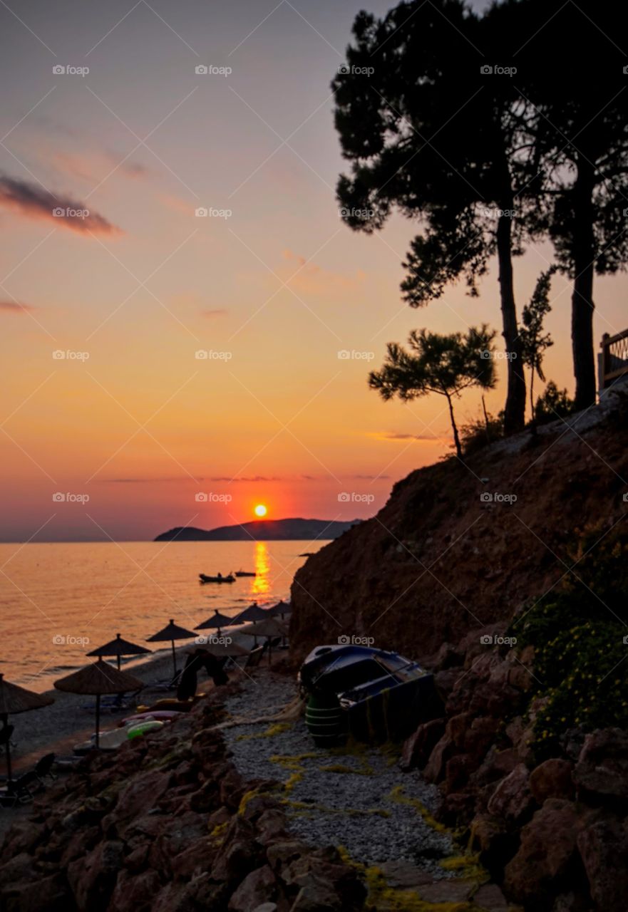 Silhouette of trees at beach during sunset