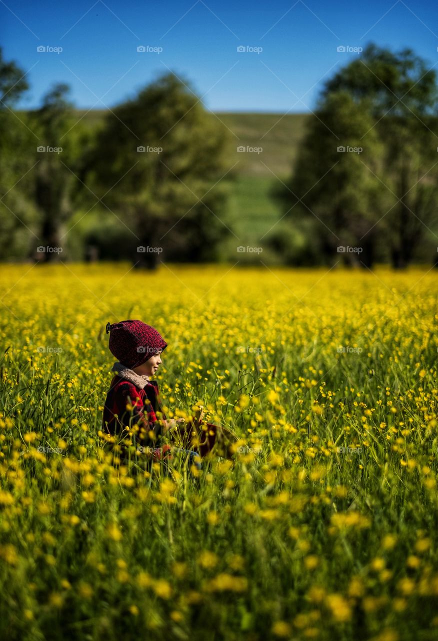 boy in the middle of yellow flowers