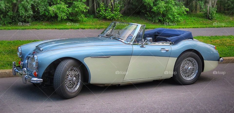 Classic car Austin Healy