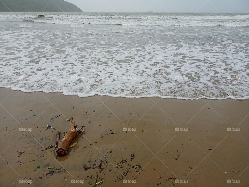 piece of wood on the seashore nice view