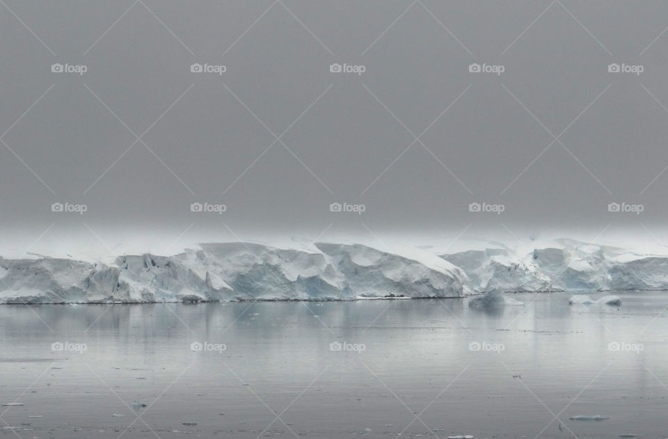 Foggy icebergs