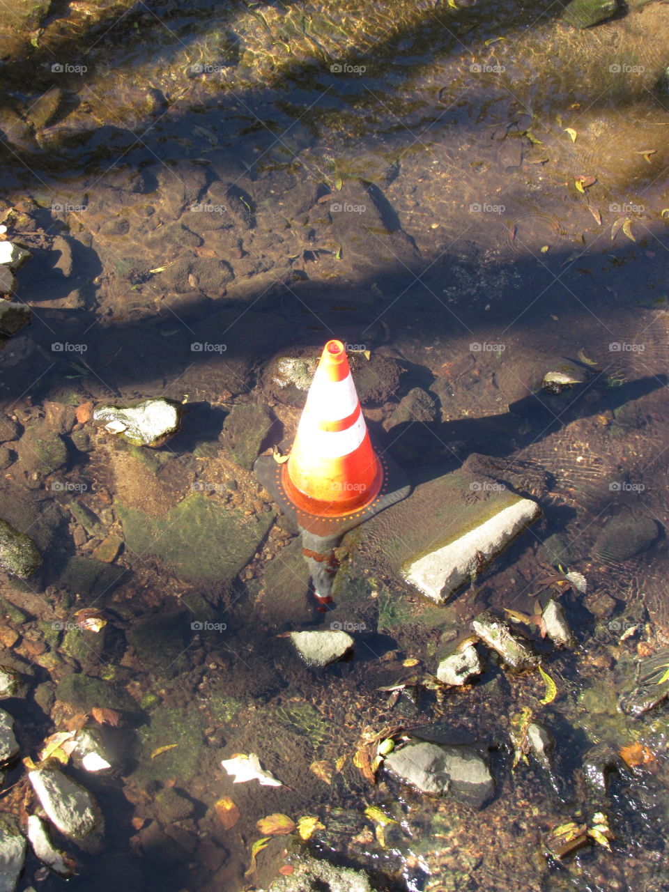 Traffic Cone in Creek