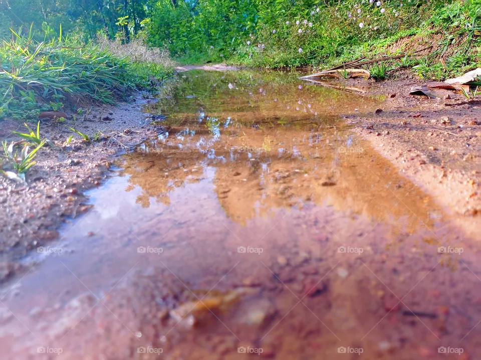 water
