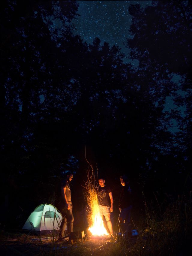 Night