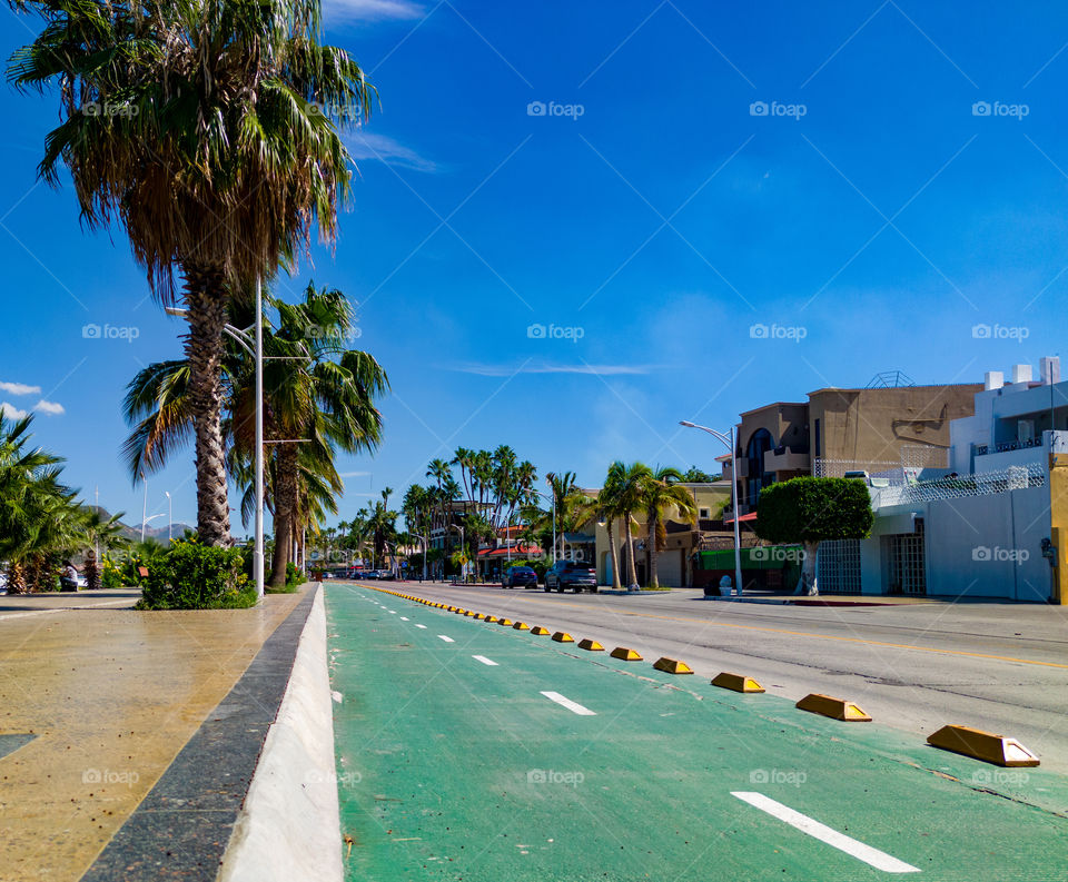 Bike path in the city