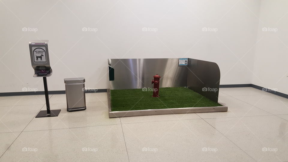 Airport, dog friendly, pit stop.