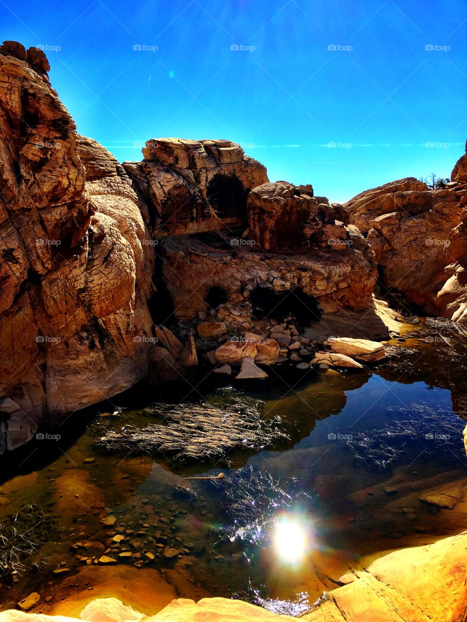 Calico Tank Basin