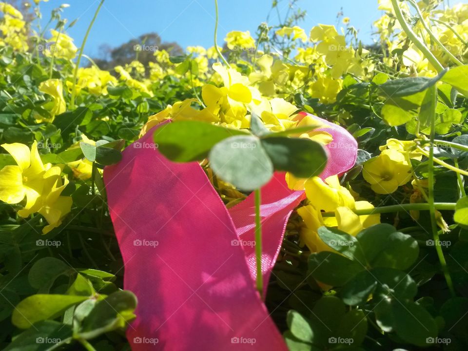 pink ribbon into natural yellow wild flowers and green four leaves