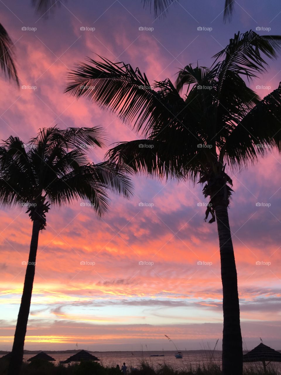 Palm tree silhouette at Sunset, Grace Bay, Providenciales. Turks & Caicos. 