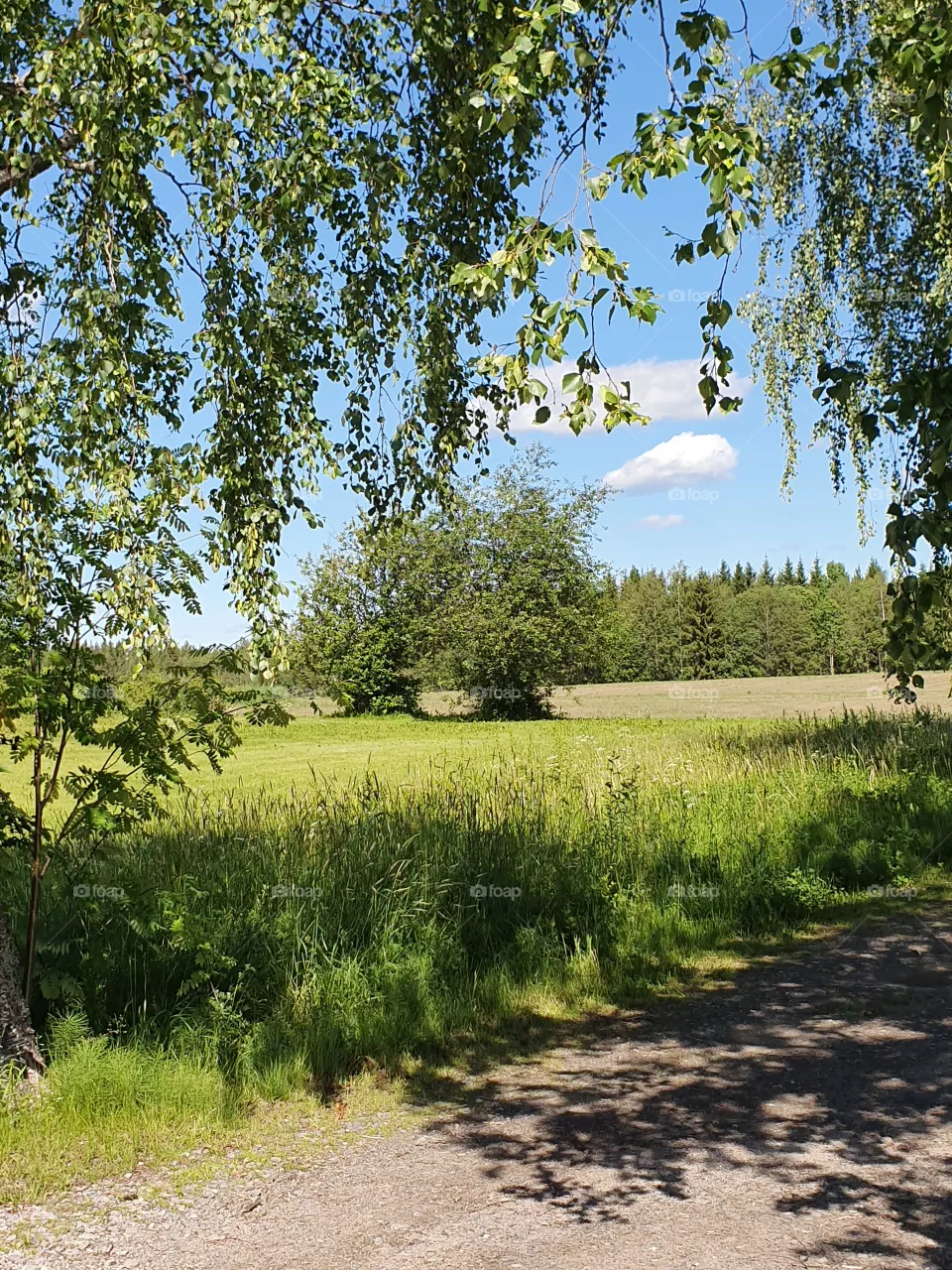 summer