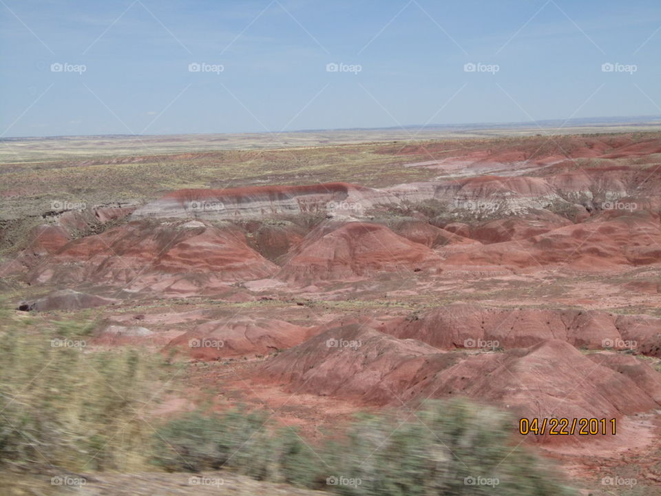 The Painted Desert 