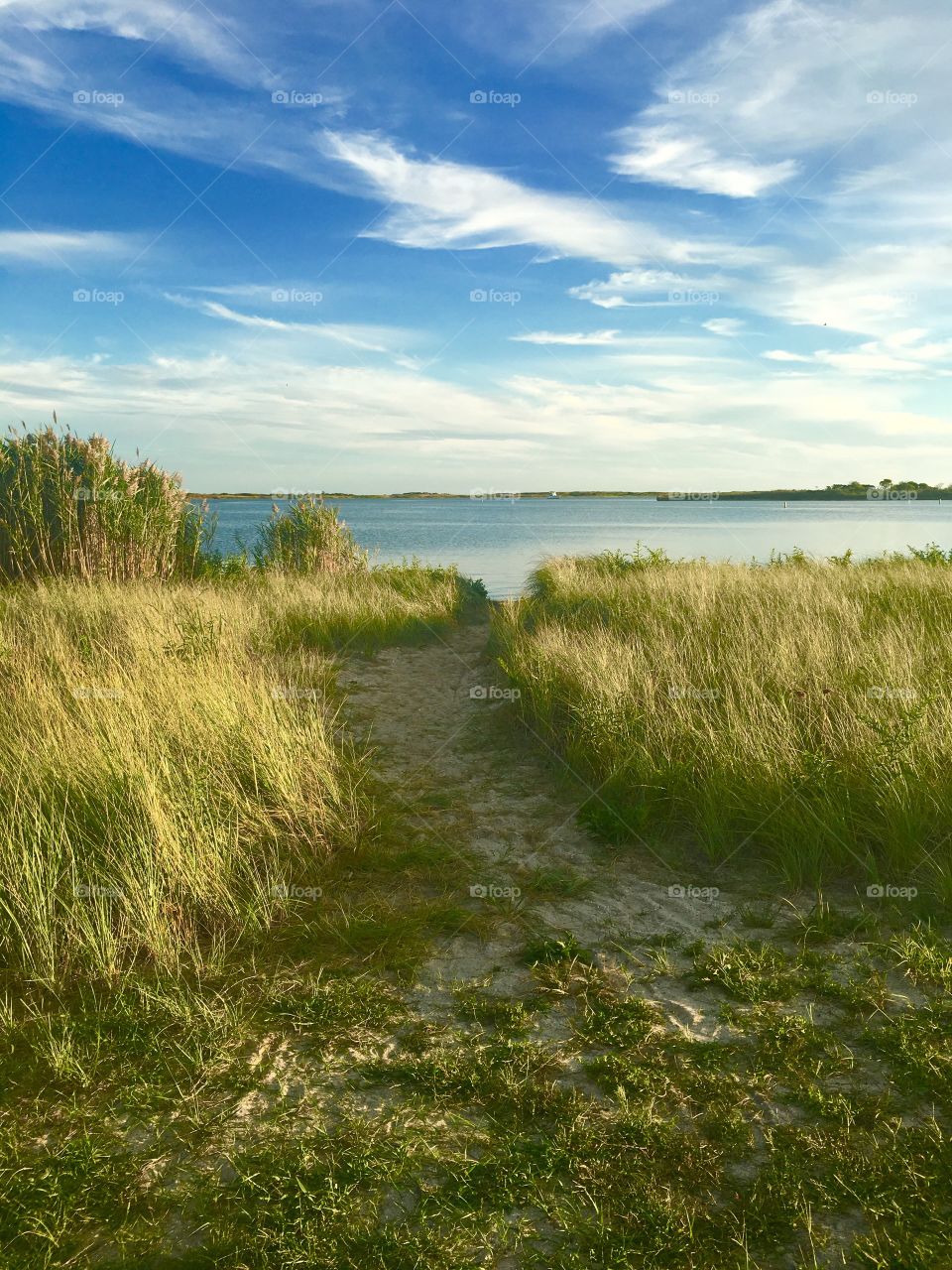 Path leading towards sea