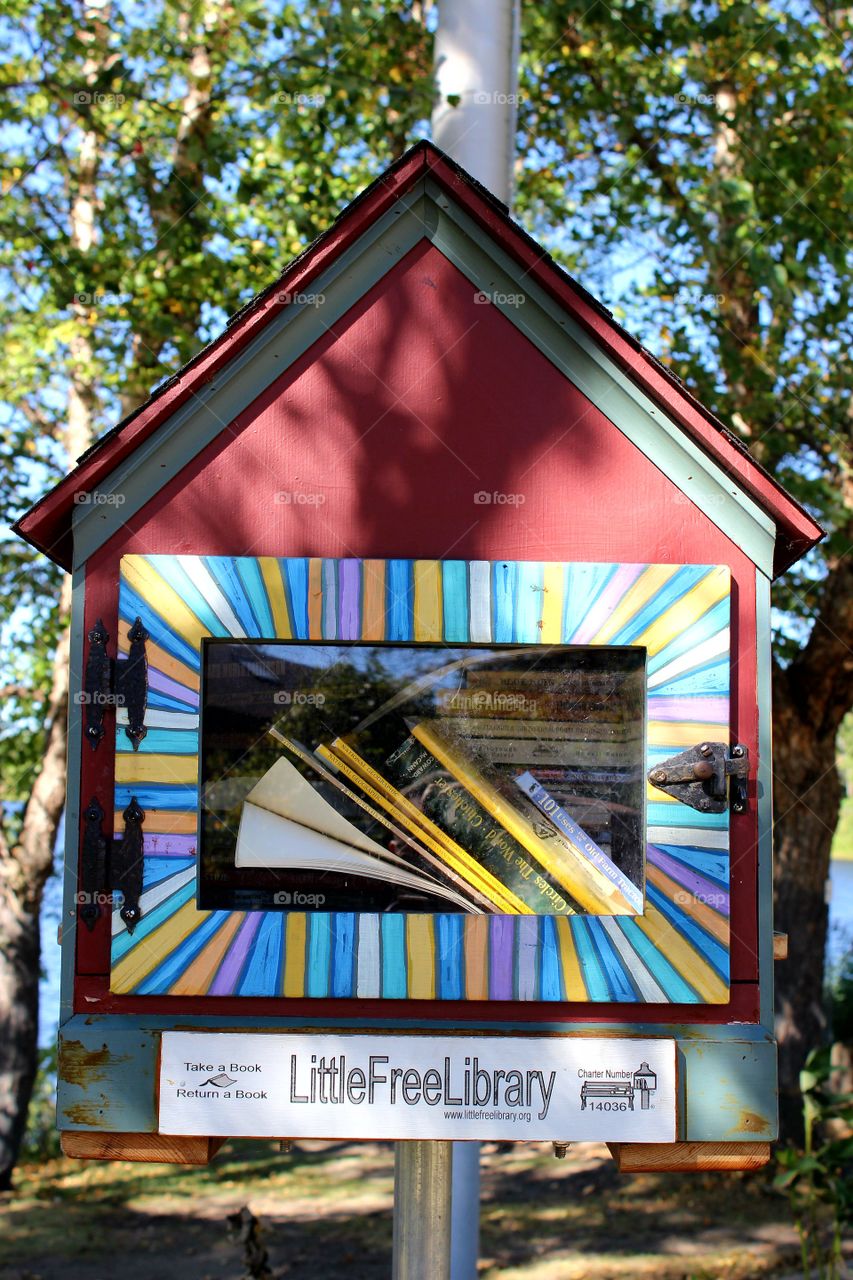 Little Free Library