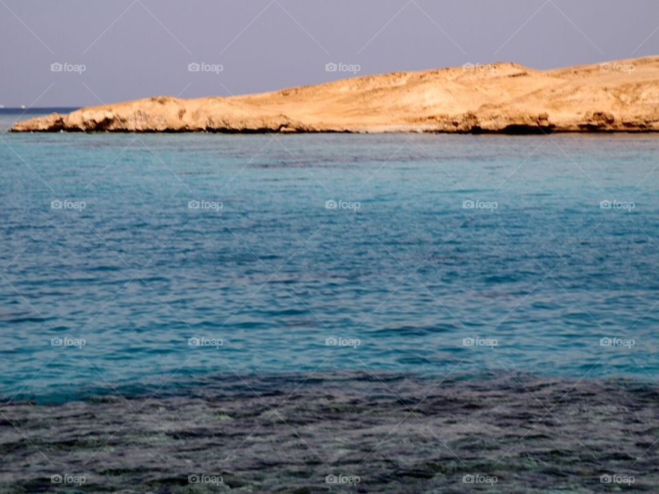 Island in the Red Sea 