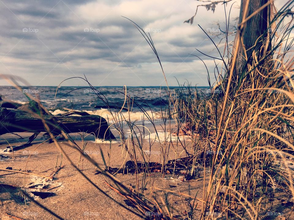 Neuse River Beach, North Carolina 2016