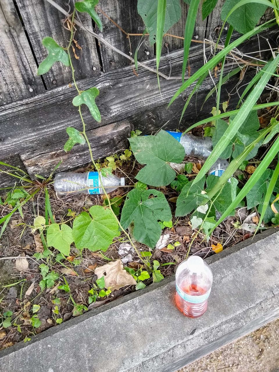My bottle standing up amongst other littered bottles in background. I won't be adding to the litter🚯.