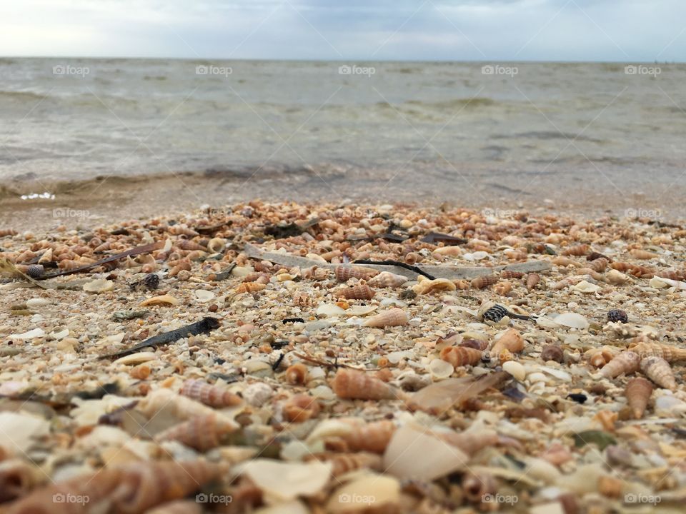 Low shot of seashell filled beach out to sea