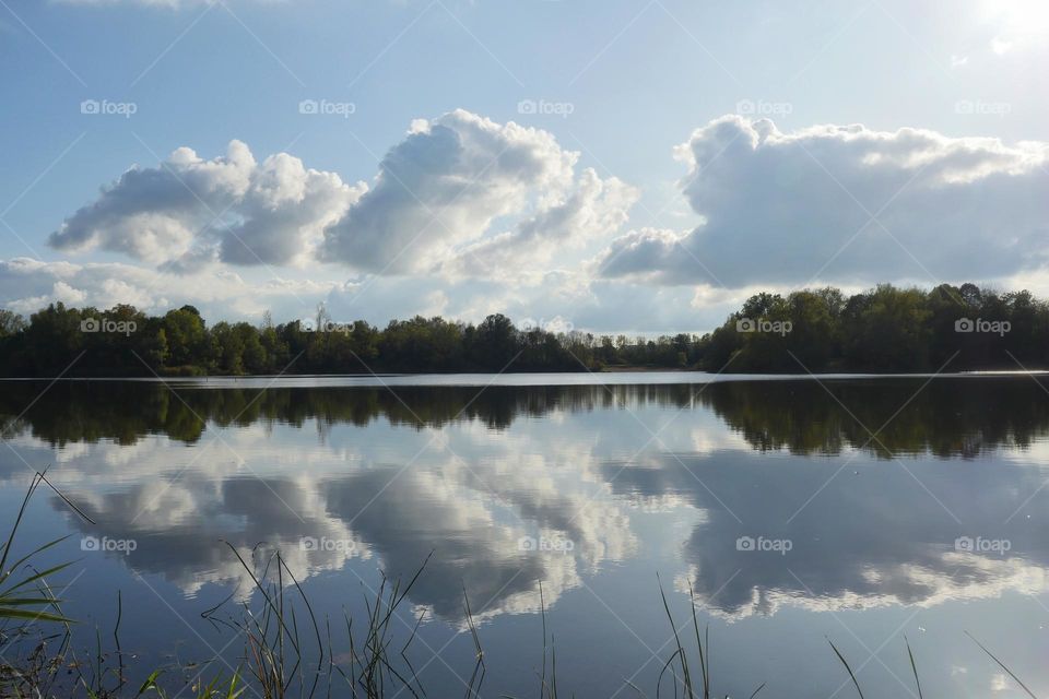 I see a cute dinosaur and his reflection in the lake