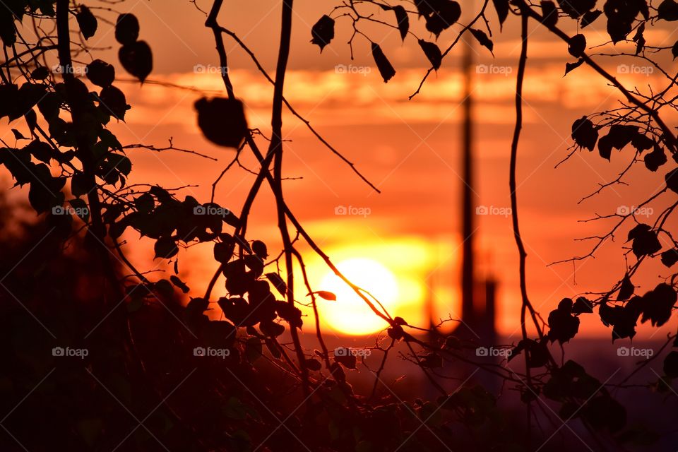 Sunset, Nature, Sun, Dawn, Silhouette