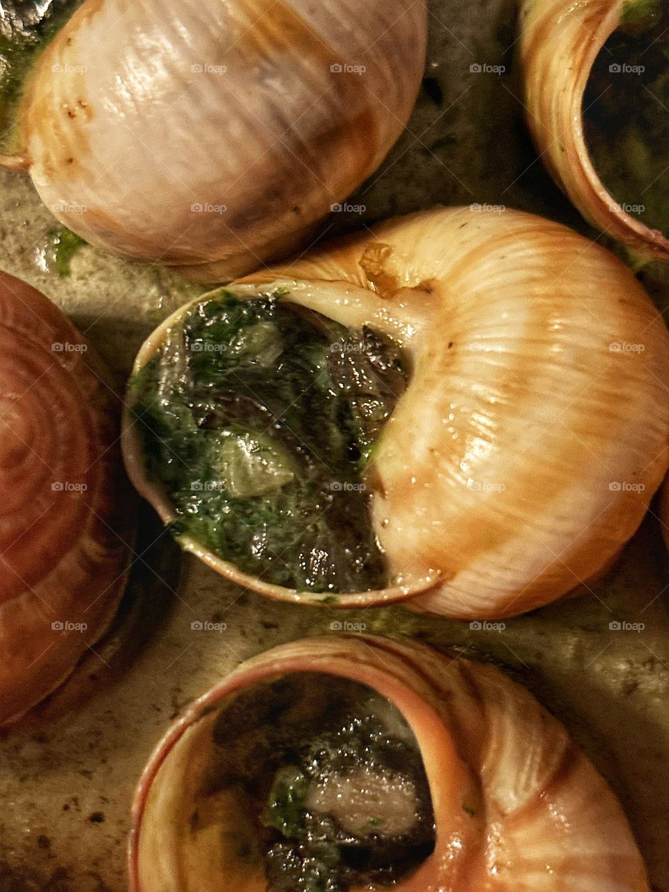 Escargot 