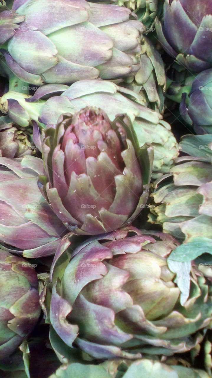 Artichoke