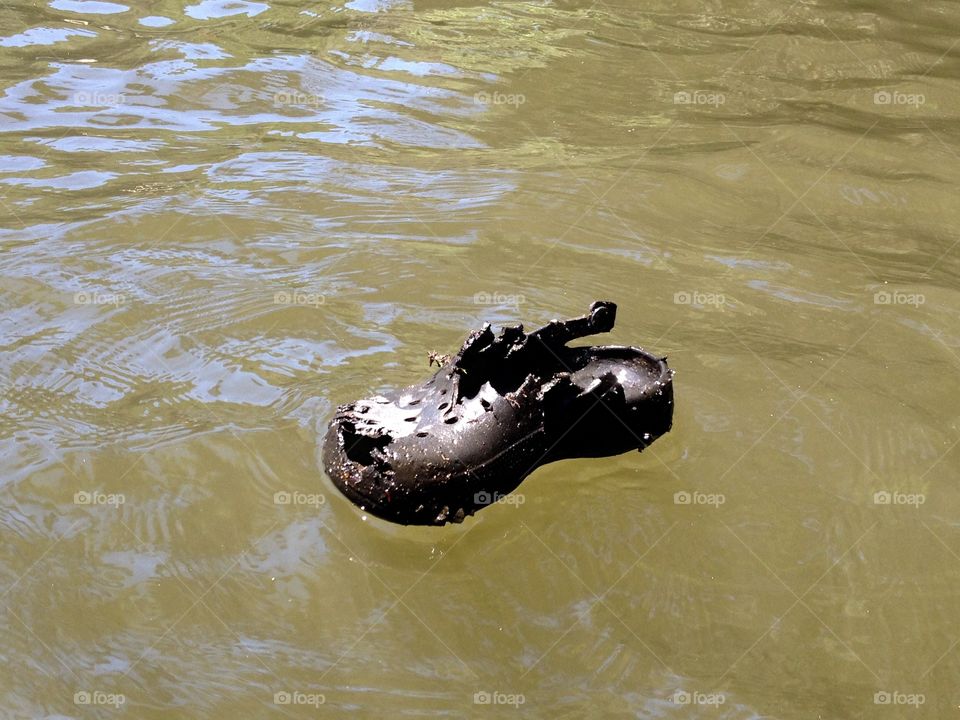 Floating Croc. A paddling discovery 