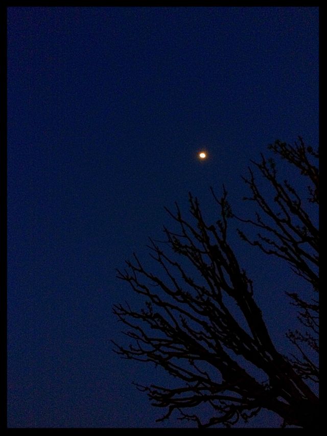 Light Of Hope
Captured by iphone 5s 