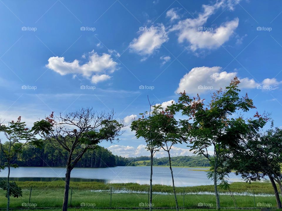 Parque da Cidade, em Jundiaí. Que beleza a represa de nossa cidade. Viva a Natureza!