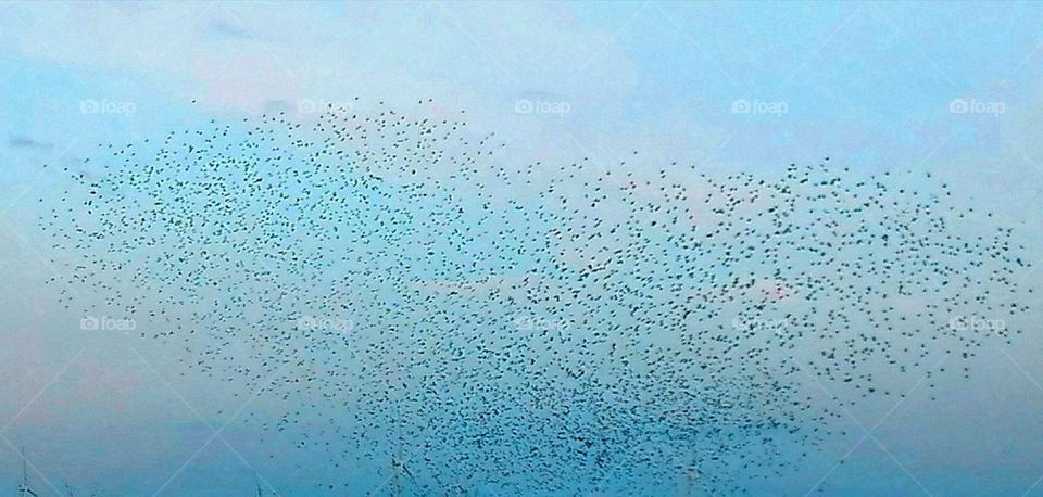 black sun Southern Jutland