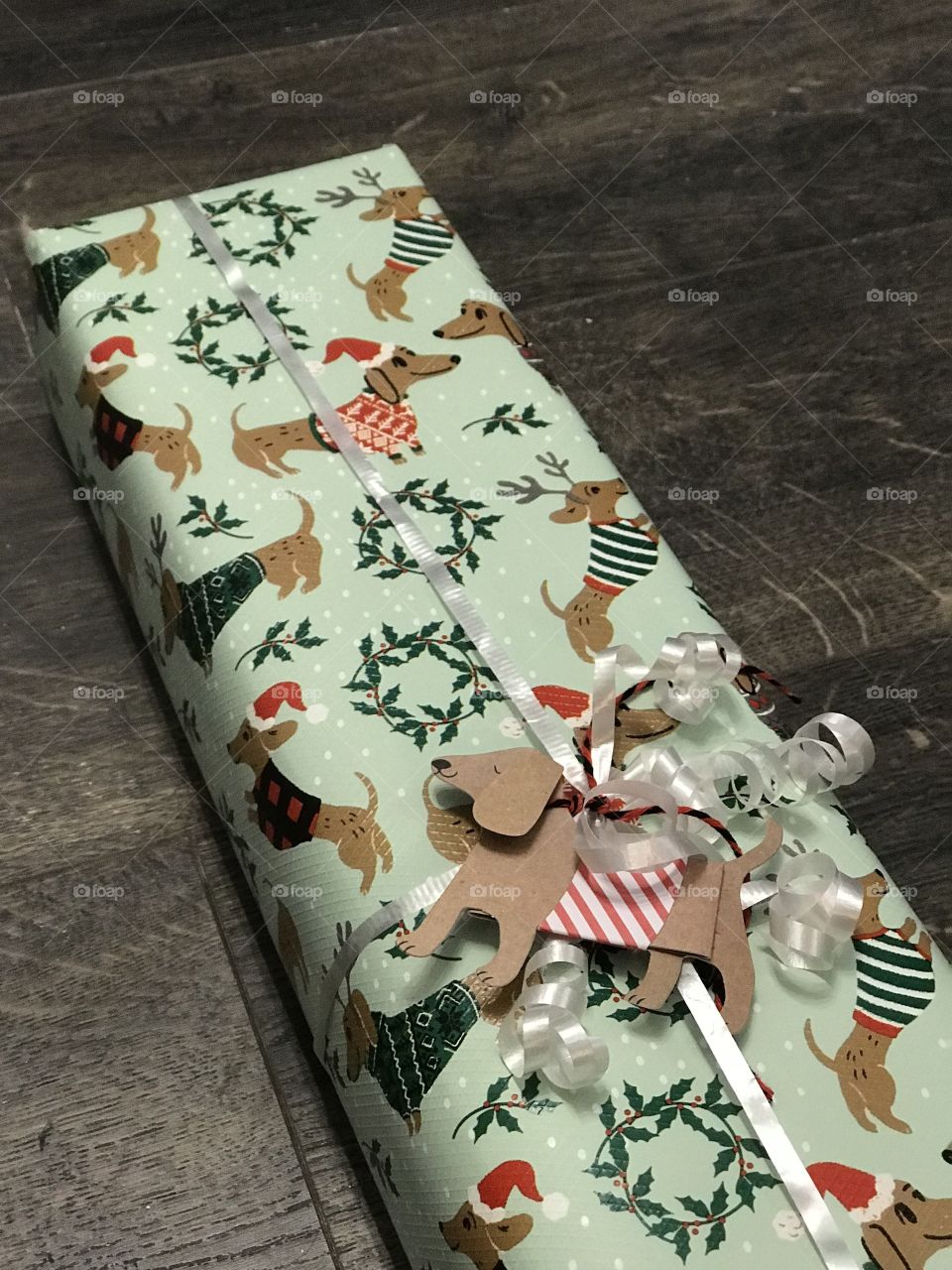 Dachshund wrapped gift