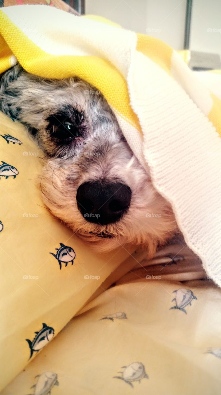 nope. think I'll learn how to binge watch TV today instead!