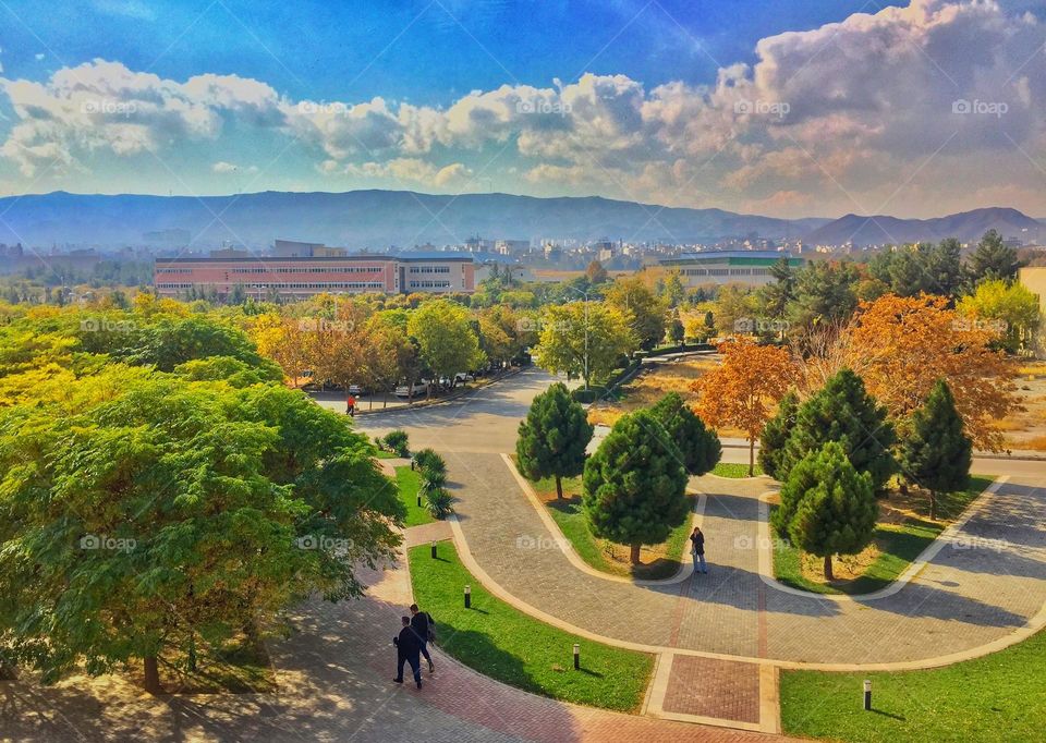 Natural energetic colourful frame that makes my soul fly calmly. 
How good walking with you!It's nice and sunny. How good I am with you!