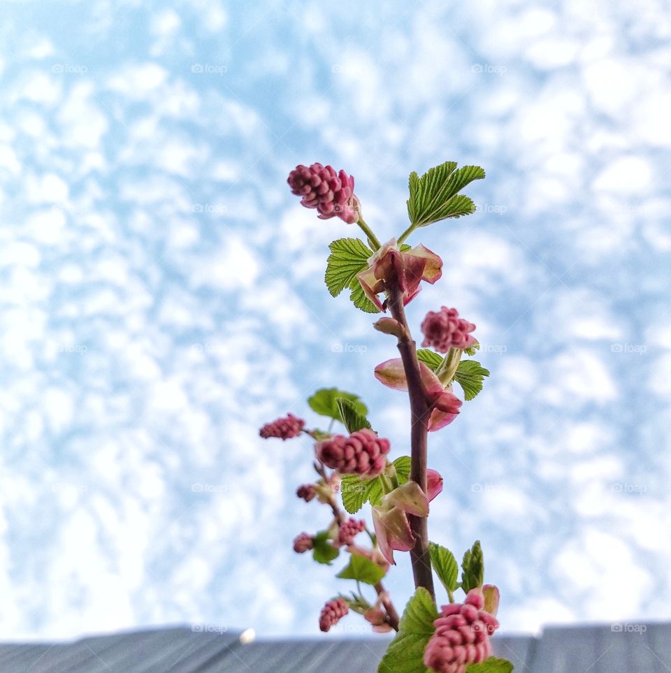 First sign of spring.