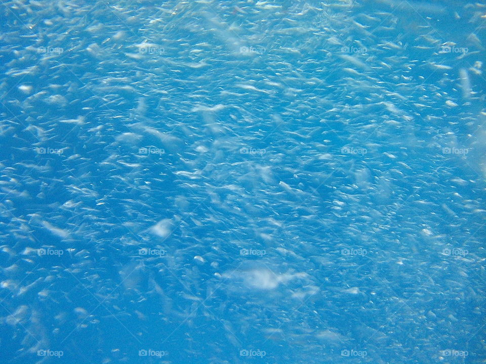 underwater bubbles