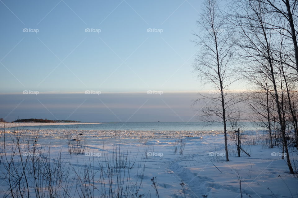 Winter, Snow, Landscape, Frost, Cold