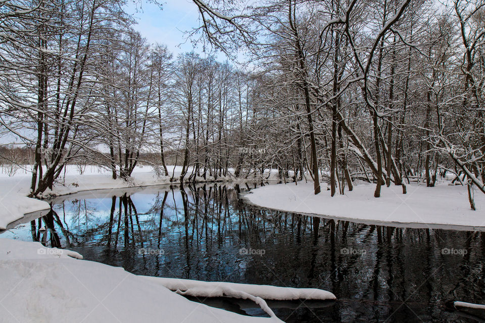 winter. river. forest