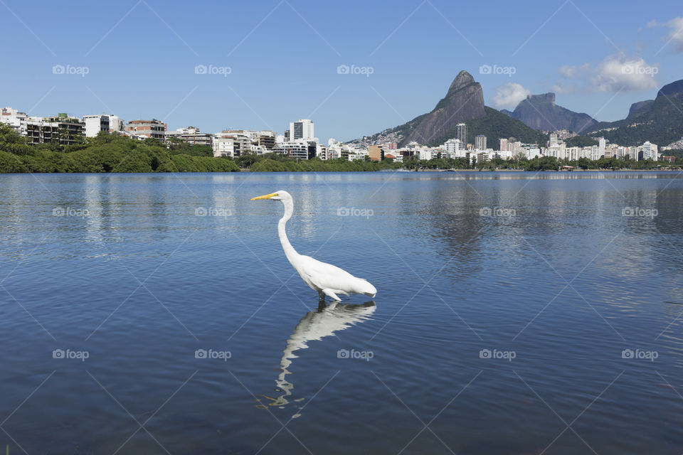 Rio de Janeiro - The wonderful city.