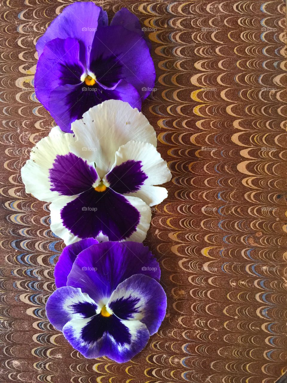 Three pansies on a vintage book cover