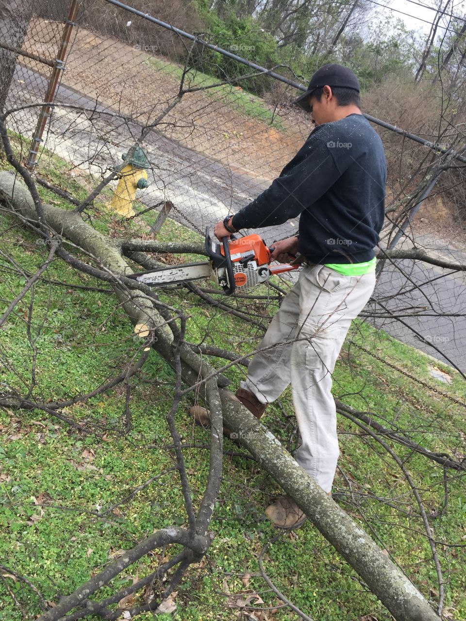 Landscaping man cutting tree branch with chainsaw outdoors