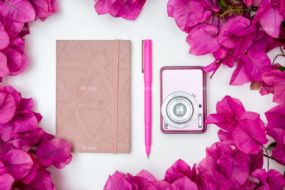Pink! Image of pink notebook, pink pen, pink camera with pink flowers around. Flat lay on white background.