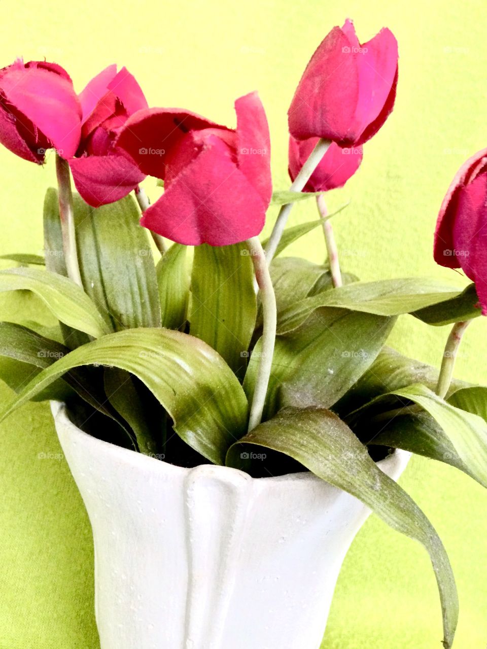 House Plants In Pots

Published by:
HappyBrownMonkey 