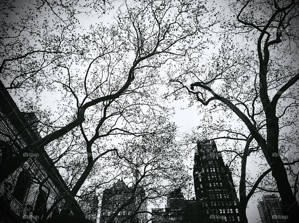 Bryant Park 