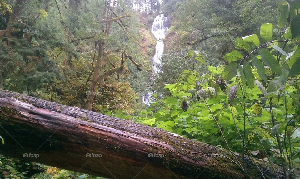 Tillamook waterfall