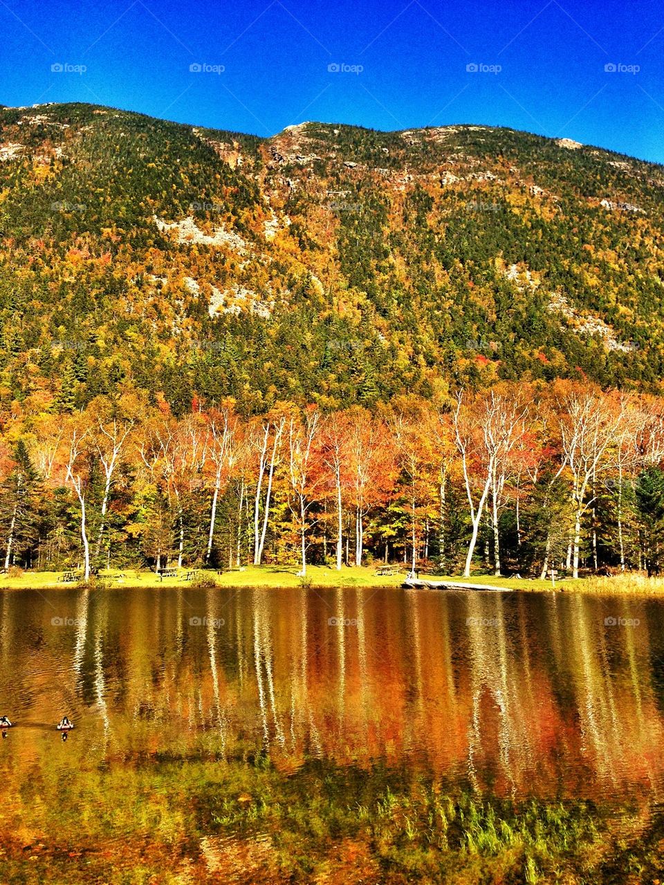 Jackson New Hampshire in Fall