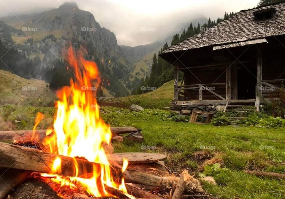 Enchanced lens: exploring the magic forest mission